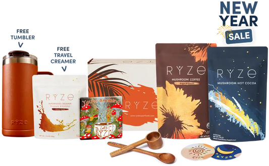 Day + Night Bundle M17L