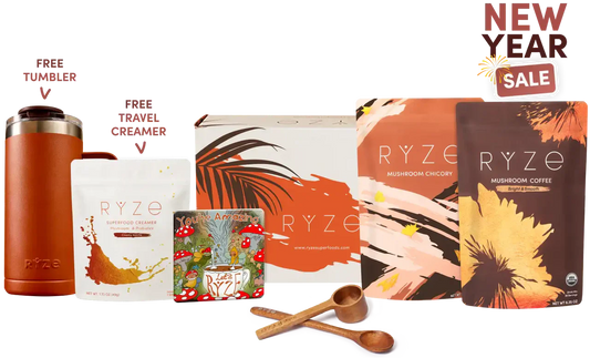 Lasting Energy Bundle M12G
